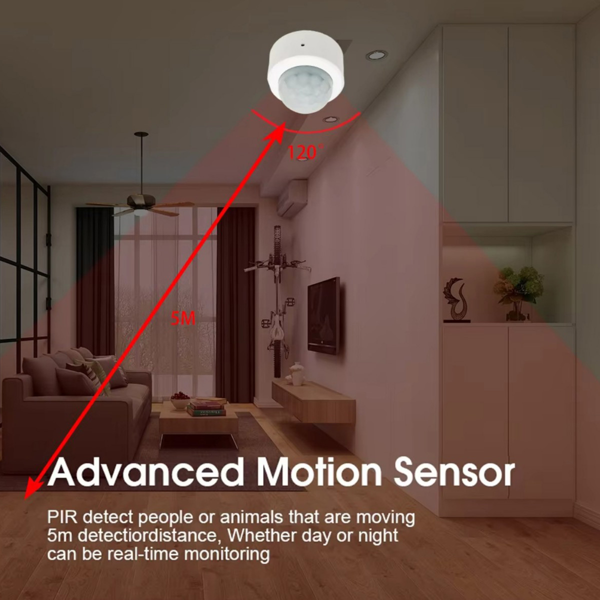 Zigbee PIR Motion Sensor Human - огляд і ціна Home Security Business